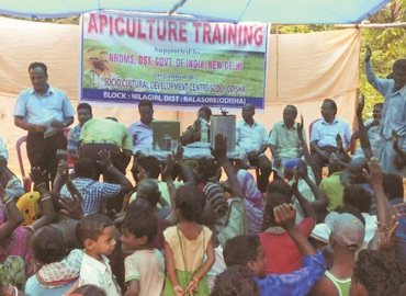 Sri Banamali Sahoo, Chairman, SCDC support Apiculture equipments to Tribal Farmers of Nilagiri Block of Balasore District