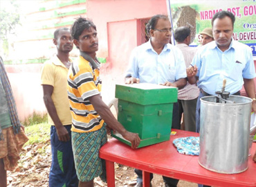 Sri Banamali Sahoo, Chairman, SCDC support Apiculture equipments to Tribal Farmers of Nilagiri Block of Balasore District