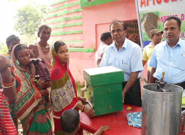Sri Banamali Sahoo, Chairman, SCDC support Apiculture equipments to Tribal Farmers of Nilagiri Block of Balasore District