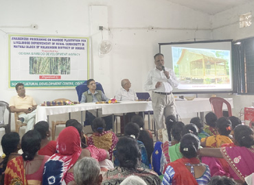 Awareness Programme on Bamboo Plantation for Livelihood improvement of Rural Community at Kalahandi, Phulbani&Malkangiri District of Odisha