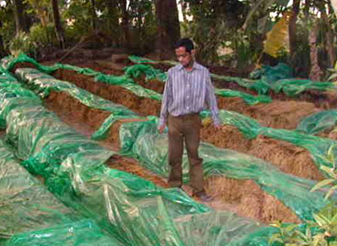Sri Banamali Sahoo, Chairman, SCDC Support to Farmers about Mushroom Cultivation at Baliapal Block of Balasore District 