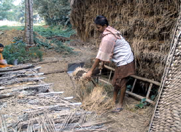 Sri Banamali Sahoo, Chairman, SCDC Support to Farmers about Mushroom Cultivation at Baliapal Block of Balasore District 
