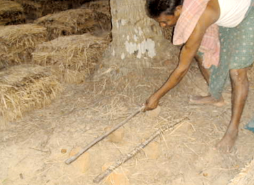 Sri Banamali Sahoo, Chairman, SCDC Support to Farmers about Mushroom Cultivation at Baliapal Block of Balasore District 