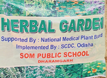 Socio Cultural Development Centre implemented 45 Nos. of School Herbal Garden in Aspirational District (Malkangiri, Rayagada & Kalahandi) of Odisha 
