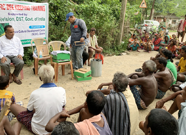 Improvement of Socio Economic Conditions of Schedule Tribe Dominated Region through Scientific Bee Keeping in Mayurbhanj District of Odisha