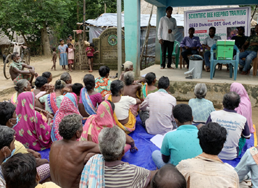Improvement of Socio Economic Conditions of Schedule Tribe Dominated Region through Scientific Bee Keeping in Mayurbhanj District of Odisha
