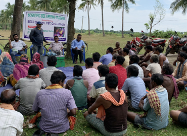 Improvement of Socio Economic Conditions of Schedule Tribe Dominated Region through Scientific Bee Keeping in Mayurbhanj District of Odisha