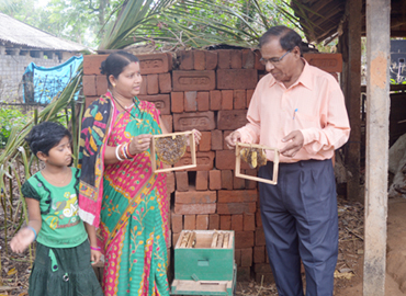 Improvement of Socio Economic Conditions of Schedule Tribe Dominated Region through Scientific Bee Keeping in Mayurbhanj District of Odisha