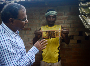 Improvement of Socio Economic Conditions of Schedule Tribe Dominated Region through Scientific Bee Keeping in Mayurbhanj District of Odisha