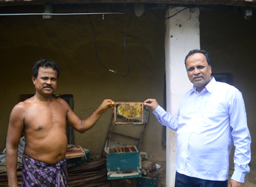 Improvement of Socio Economic Conditions of Schedule Tribe Dominated Region through Scientific Bee Keeping in Mayurbhanj District of Odisha