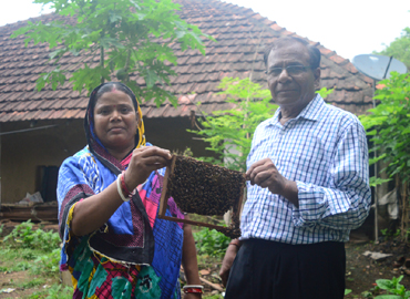 Improvement of Socio Economic Conditions of Schedule Tribe Dominated Region through Scientific Bee Keeping in Mayurbhanj District of Odisha