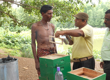 Improvement of Socio Economic Conditions of Schedule Tribe Dominated Region through Scientific Bee Keeping in Mayurbhanj District of Odisha
