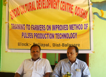 Support to Farmers about Scientific method of Pulses Cultivation (Greengram & Blackgram) at Bhograi Block of Balasore District 
