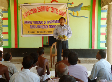 Support to Farmers about Scientific method of Pulses Cultivation (Greengram & Blackgram) at Bhograi Block of Balasore District 