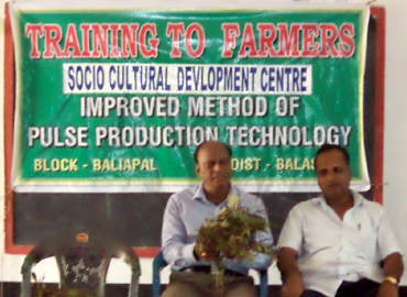 Support to Farmers about Scientific method of Pulses Cultivation (Greengram & Blackgram) at Bhograi Block of Balasore District 