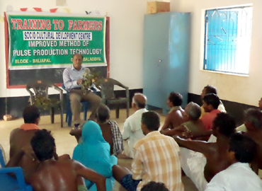 Support to Farmers about Scientific method of Pulses Cultivation (Greengram & Blackgram) at Bhograi Block of Balasore District 
