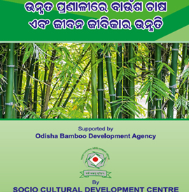 Livelihood Improvement through Bamboo Cultivation