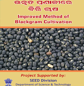 Improvement Method of Blackgram Cultivation