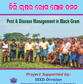 Pest Disease Management of Blackgram