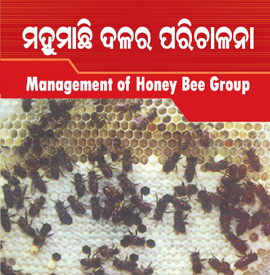 Management of Honey Bee Group
